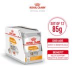 Canine Care Nutrition Coat Care (WET FOOD - Pouches) 12 x 85g